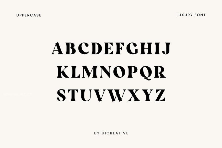 ysz-202775 Micklest-Luxury-Serif-Fontz12.jpg