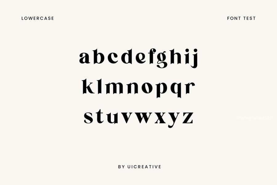 ysz-202775 Micklest-Luxury-Serif-Fontz4.jpg