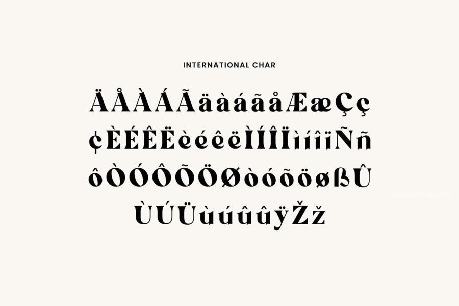 ysz-202775 Micklest-Luxury-Serif-Fontz6.jpg