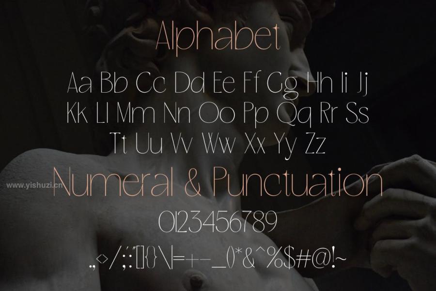 ysz-202946 Bepholar---A-Modern-Thin-Fontz5.jpg