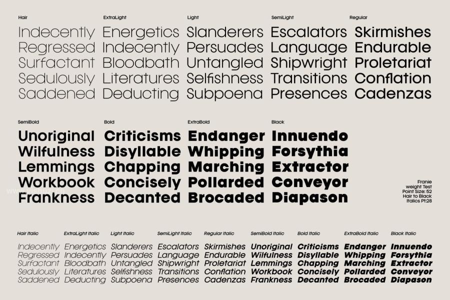 ysz-202951 Franie-Geometric-Sans-Fontz13.jpg