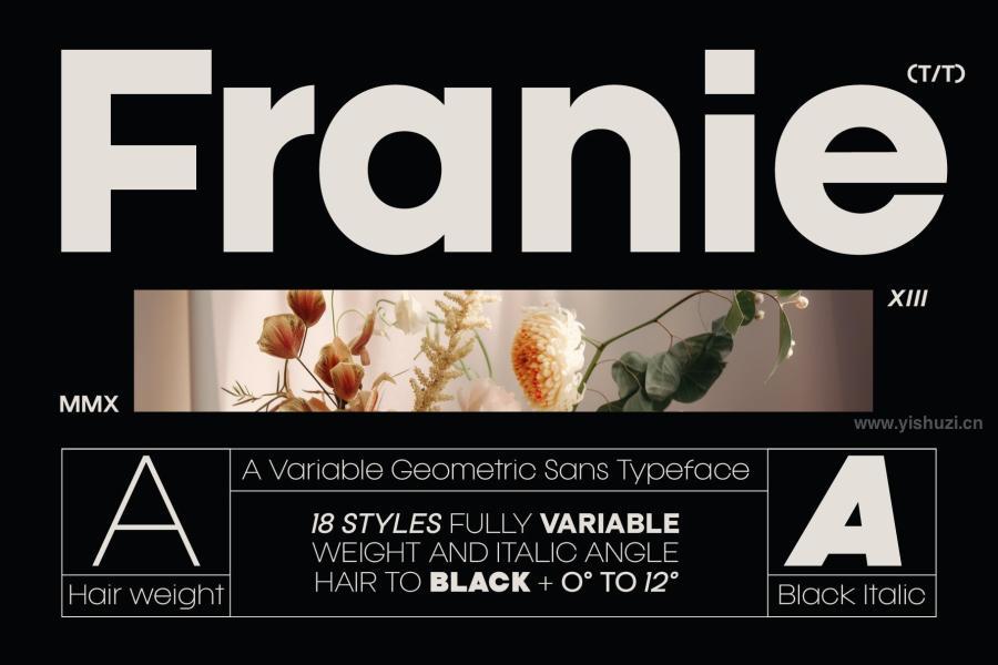 ysz-202951 Franie-Geometric-Sans-Fontz5.jpg