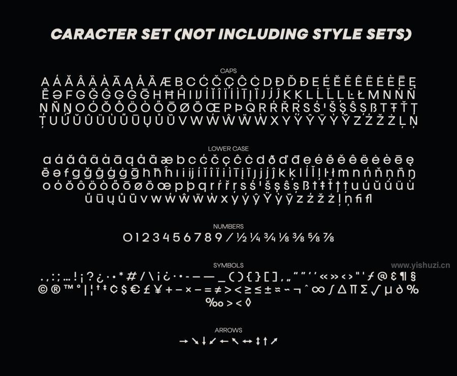ysz-202951 Franie-Geometric-Sans-Fontz6.jpg