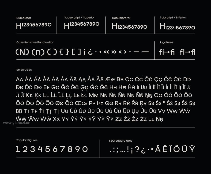 ysz-202951 Franie-Geometric-Sans-Fontz7.jpg