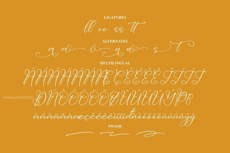 ysz-202953 Dolventias-Beautya-Script-Fontz13.jpg