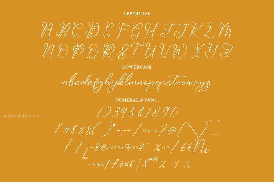 ysz-202953 Dolventias-Beautya-Script-Fontz3.jpg