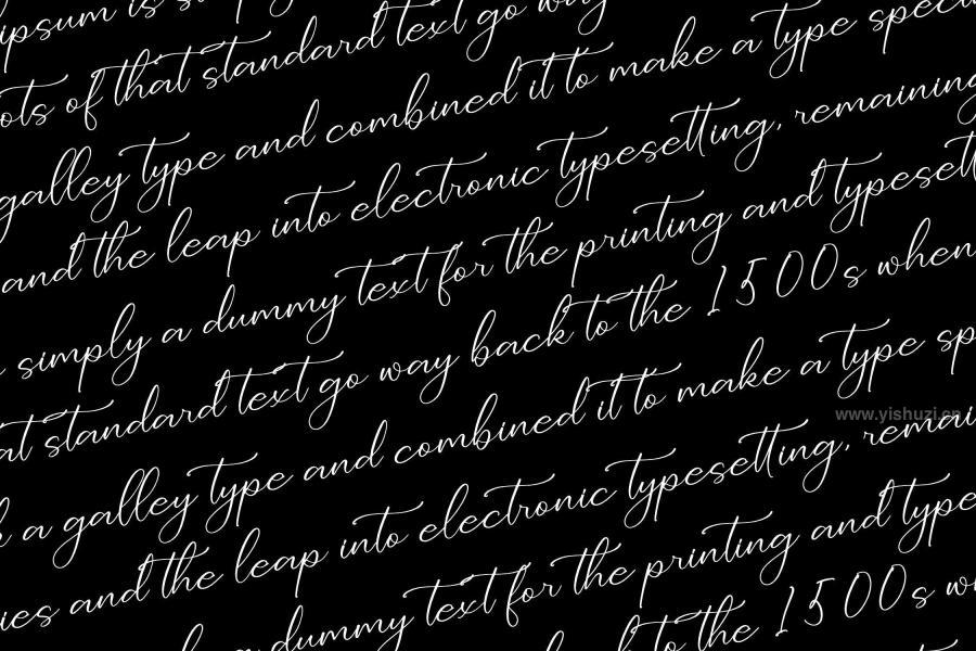 ysz-202953 Dolventias-Beautya-Script-Fontz4.jpg