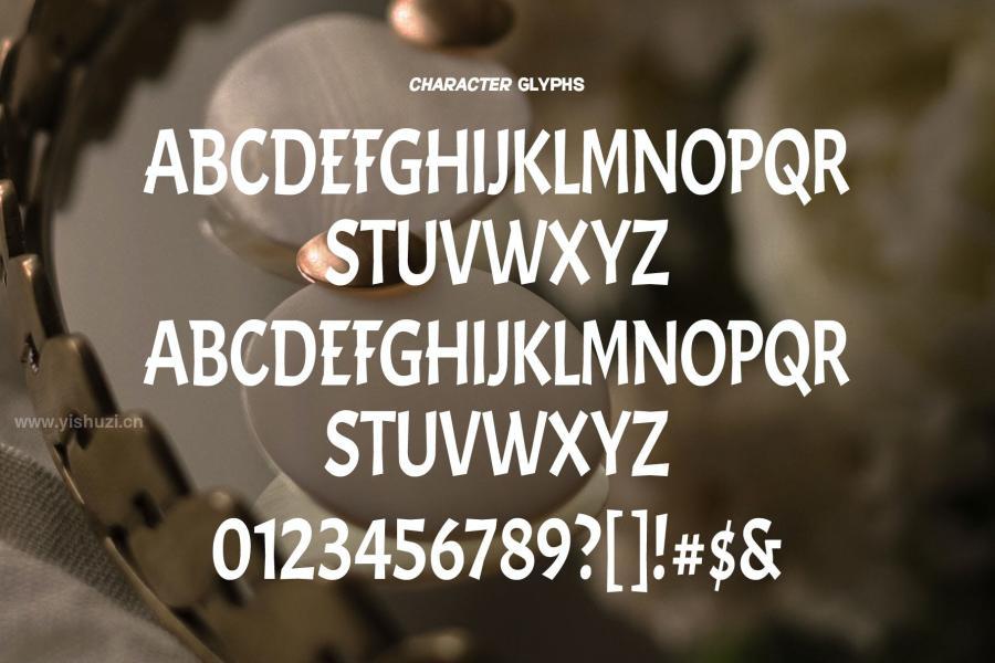 ysz-202955 Ascender-Elegant-Handwritten-Font-Typefacez6.jpg