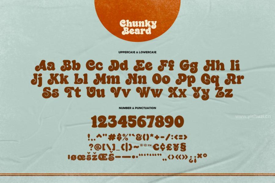 ysz-202960 Chunky-Beard---Retro-Typez8.jpg
