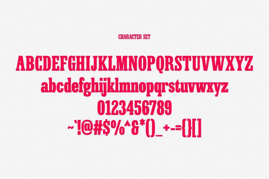 ysz-203014 Ringlock-Slab-Serif-Fontz6.jpg