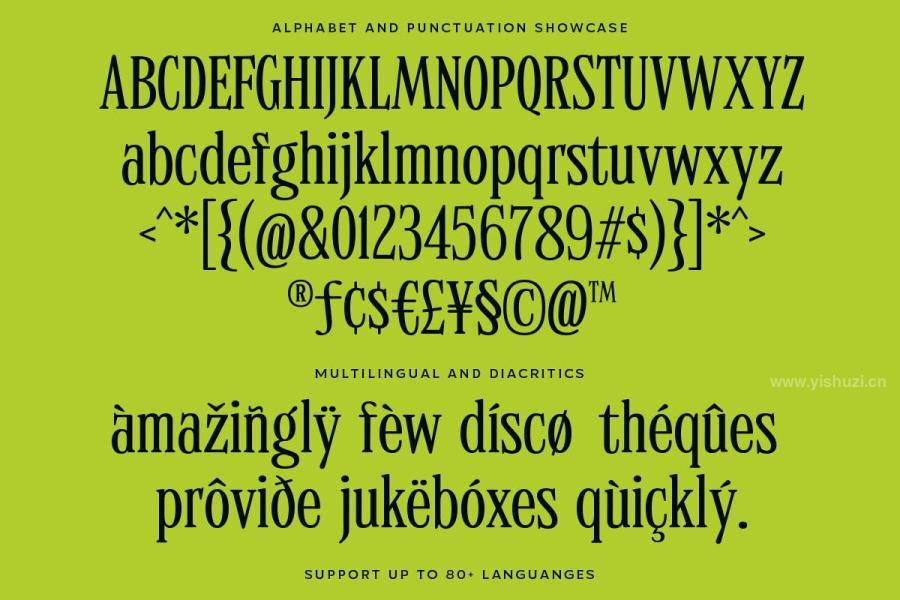 ysz-203015 MTC-Quinnie---Condensed-Serif-Displayz12.jpg