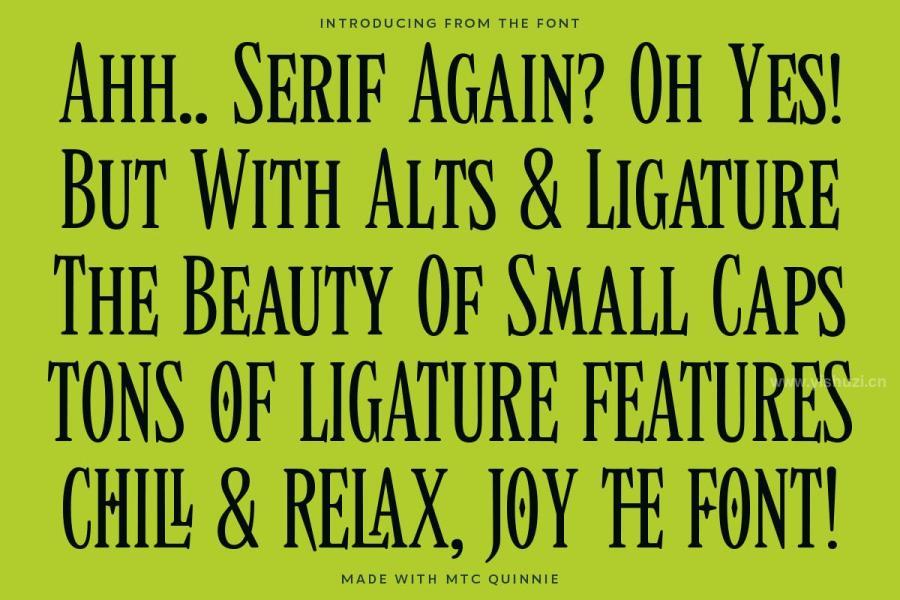 ysz-203015 MTC-Quinnie---Condensed-Serif-Displayz4.jpg