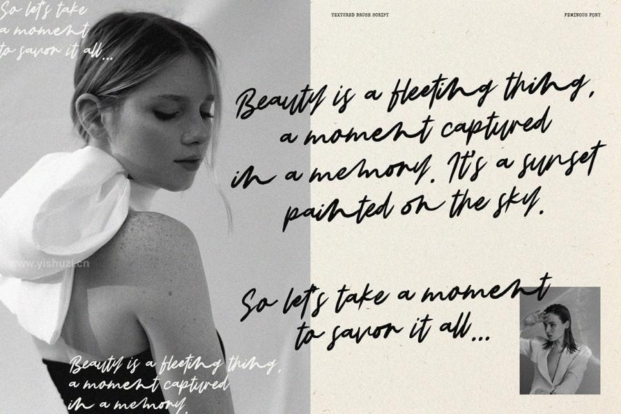 ysz-203092 Feminous-Font---Elegant-Brush-Scriptz12.jpg