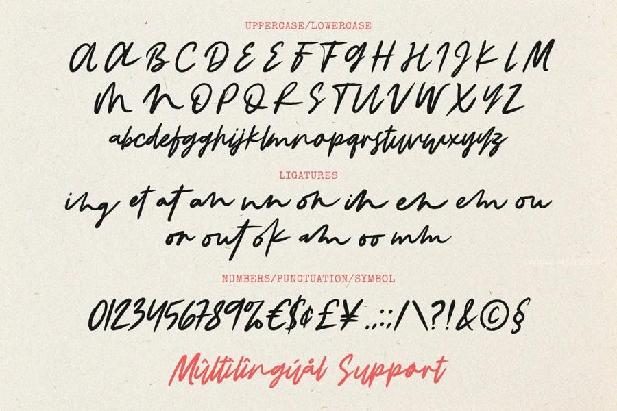 ysz-203092 Feminous-Font---Elegant-Brush-Scriptz5.jpg