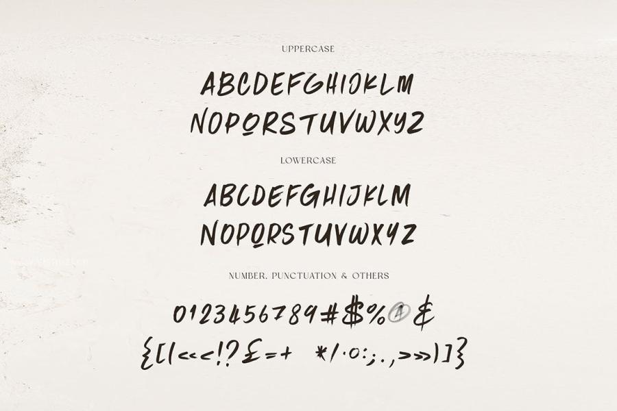 ysz-202990 Tokyo-Brush--SVG-Fontz5.jpg