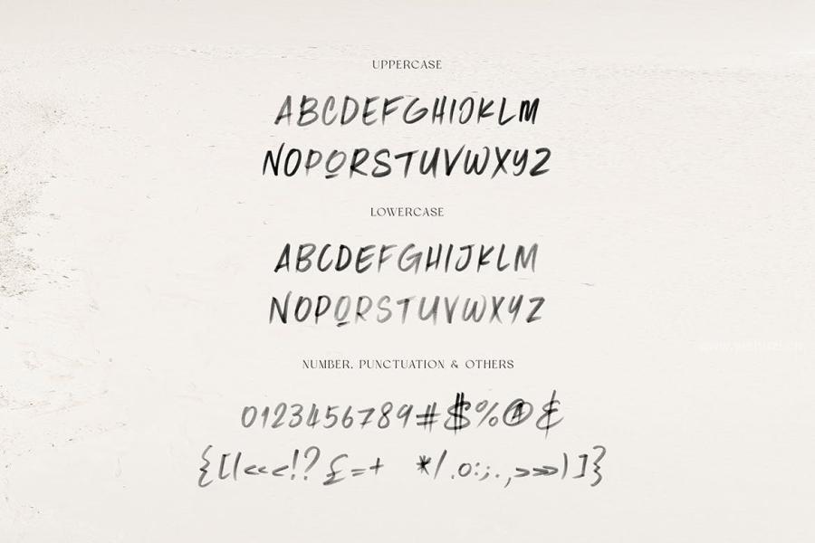 ysz-202990 Tokyo-Brush--SVG-Fontz7.jpg