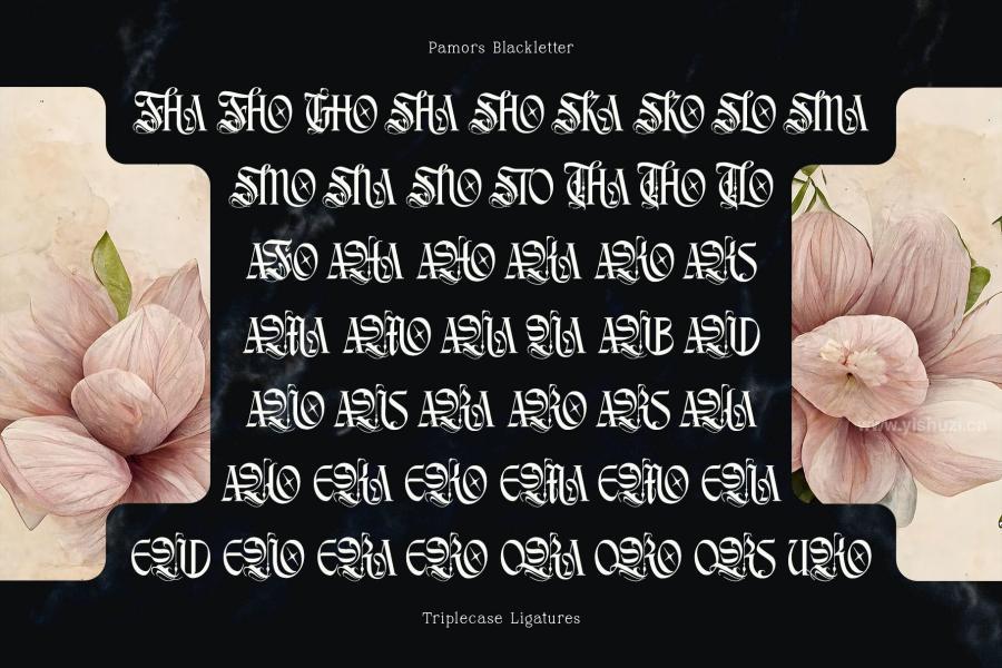 ysz-203209 Pamors-Typefacez10.jpg