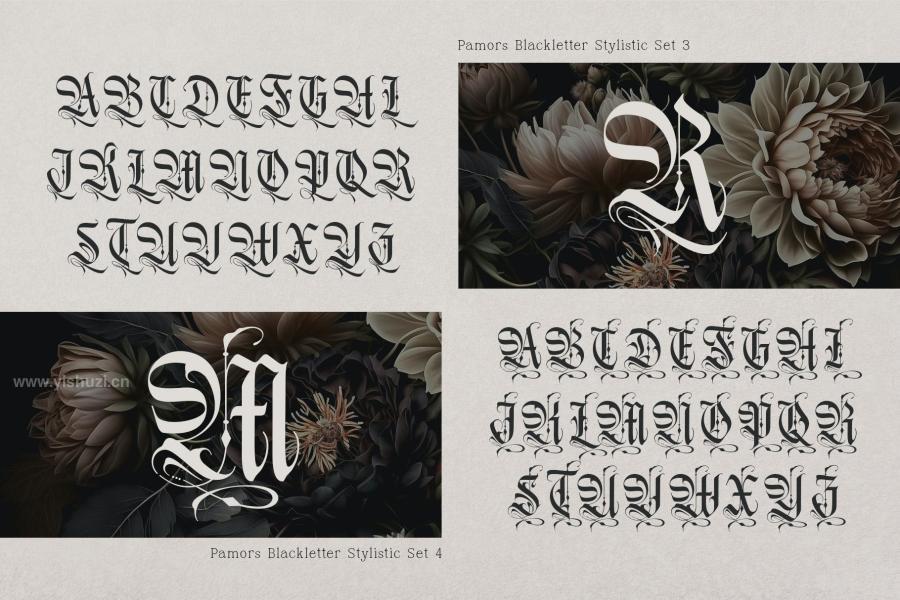 ysz-203209 Pamors-Typefacez12.jpg