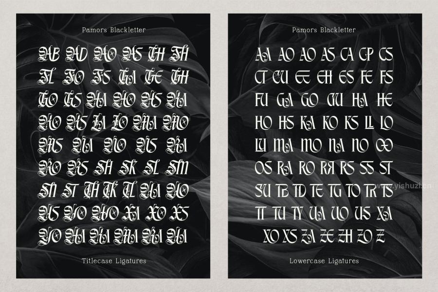 ysz-203209 Pamors-Typefacez13.jpg