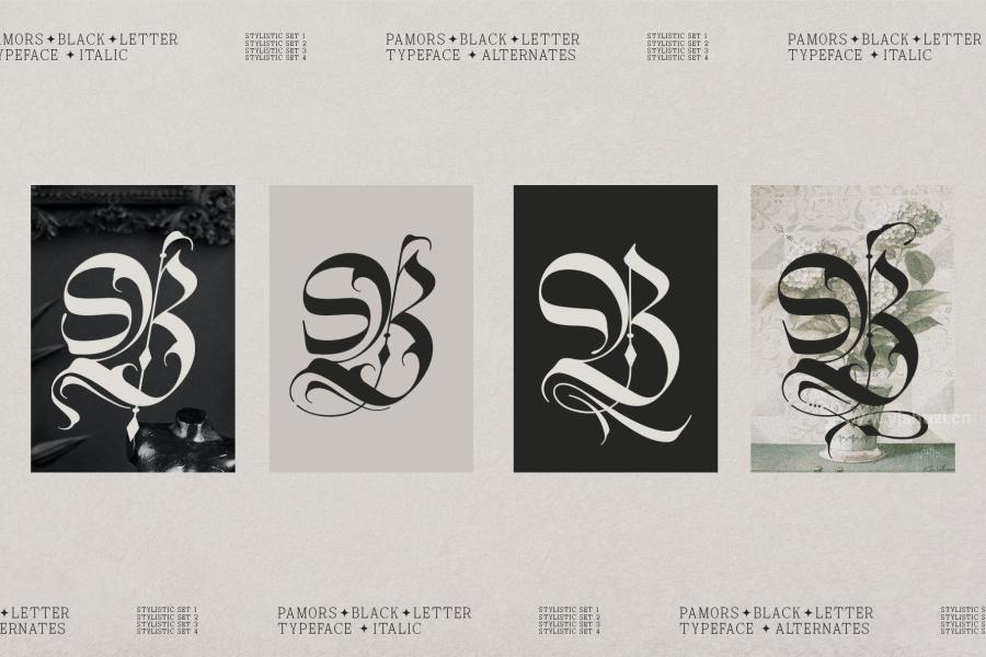 ysz-203209 Pamors-Typefacez6.jpg