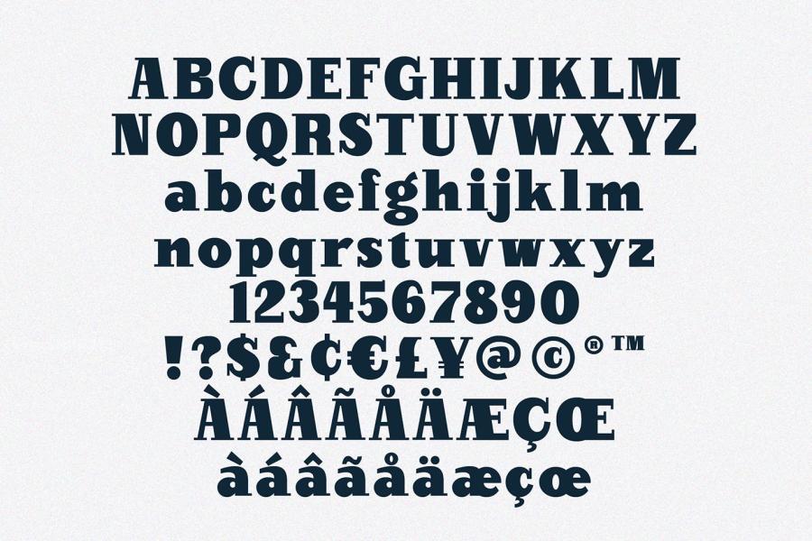 ysz-203229 Diffan-Serif-Display-Typefacez11.jpg