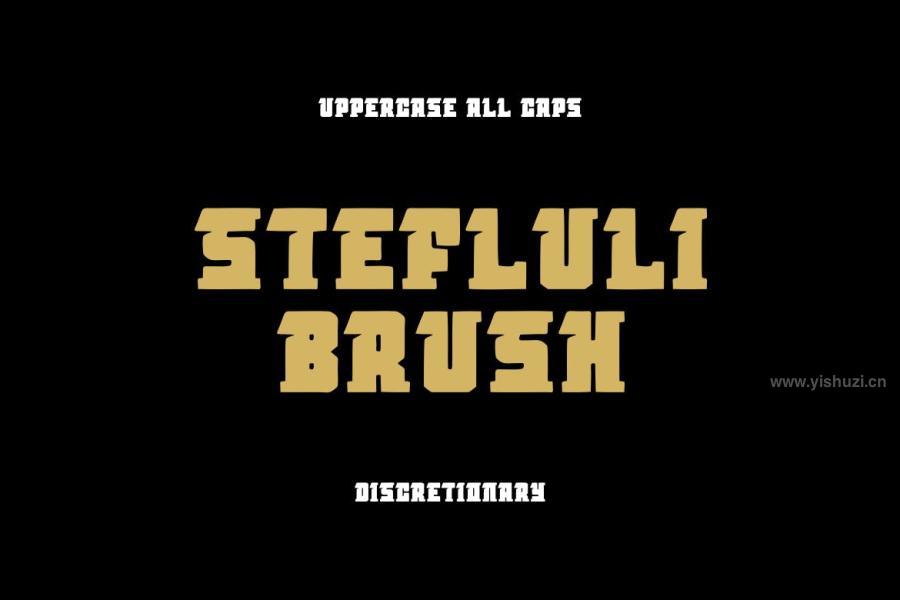 ysz-203234 StefluliBrush-fontz3.jpg