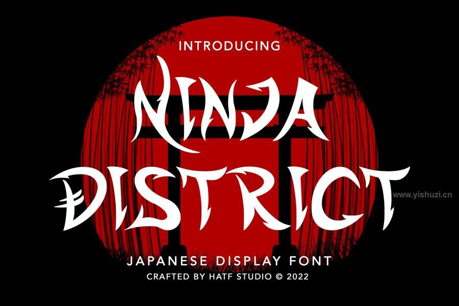 ysz-203267 Ninja-Districtz2.jpg