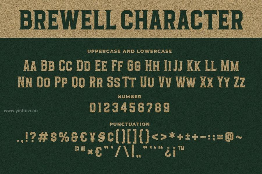 ysz-203144 Brewell-a-Vintage-Serif-Fontz4.jpg