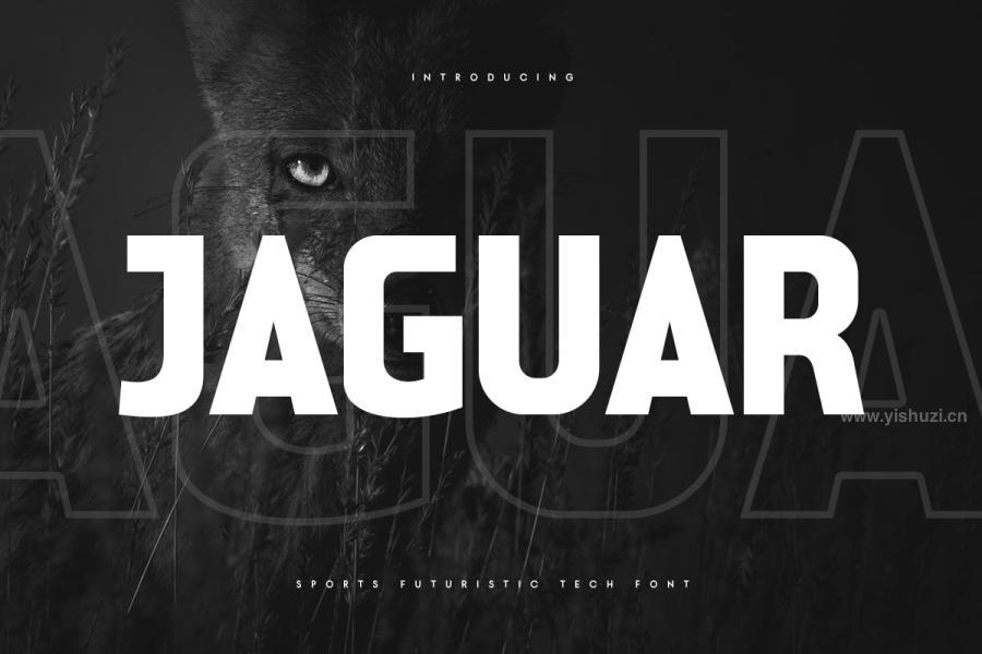 ysz-203174 Jaguar---Sports-Futuristic-Tech-Fontz2.jpg