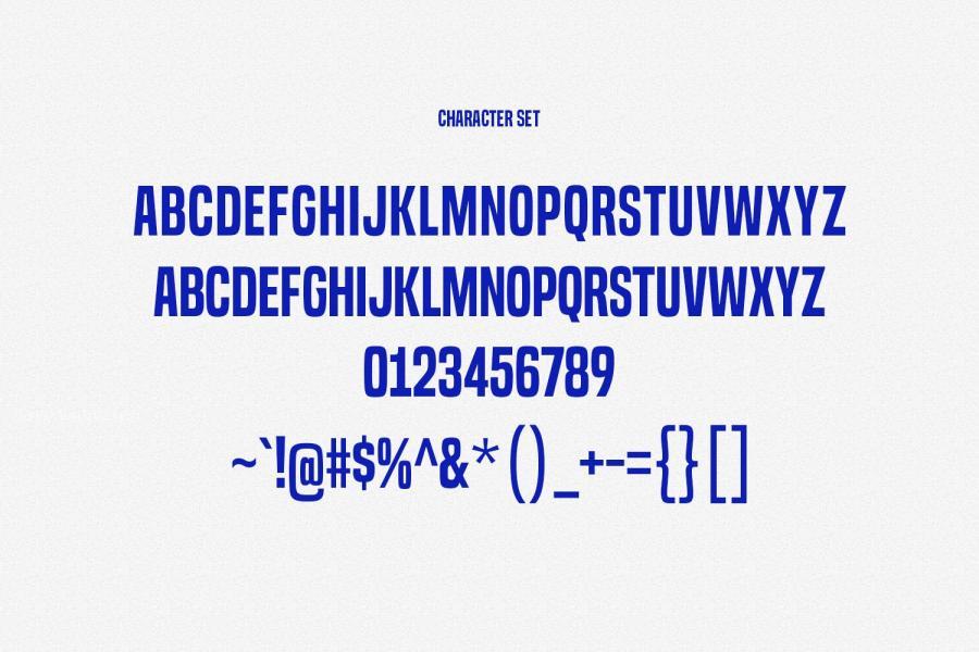 ysz-203202 Magnuz-Sans-Serif-Display-Fontz6.jpg
