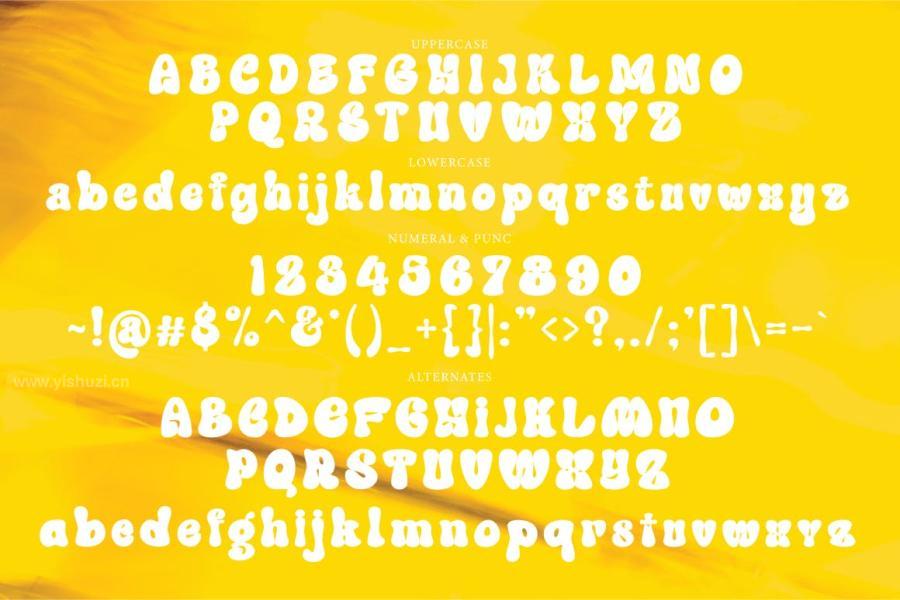 ysz-203462 Rubber-Stamp-Displayz6.jpg