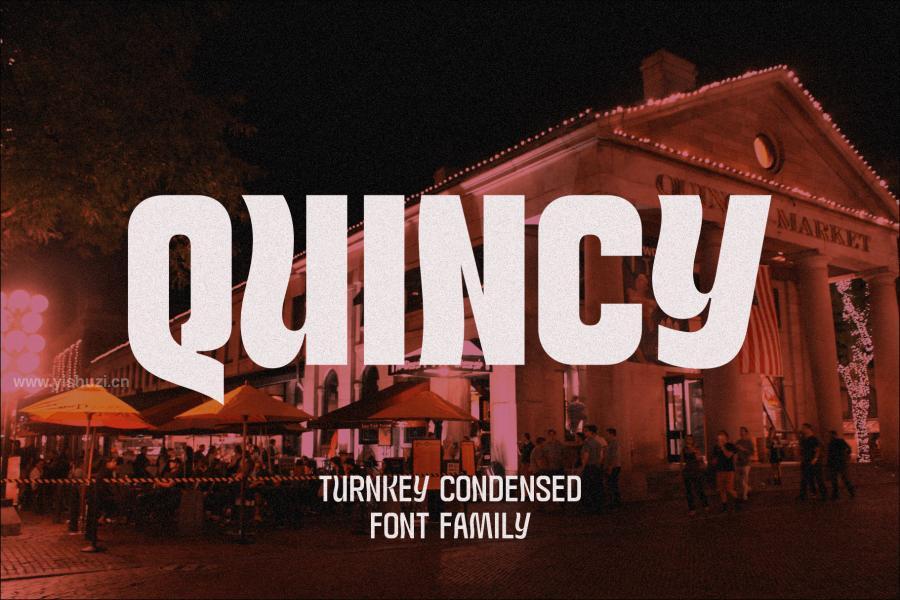 ysz-203491 Turnkey-Condensed-Font-Familyz9.jpg