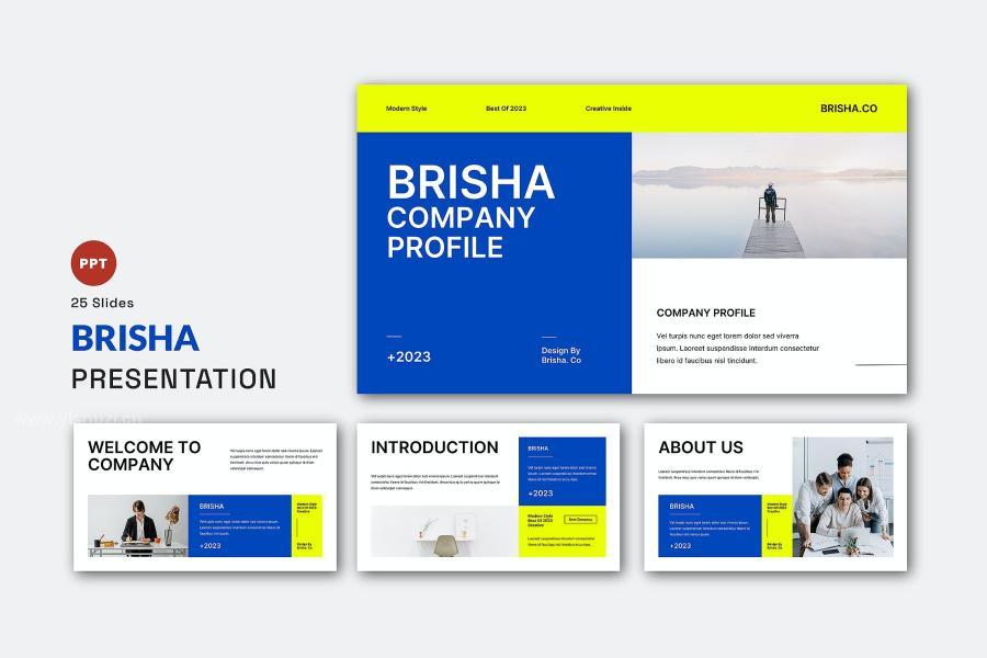 ysz-203531 Brisha-Powerpoint-Presentation-Templatez3.jpg
