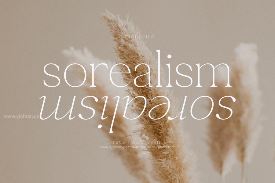 ysz-203596 Sorealism-True-Italic-Serif-Fontz12.jpg