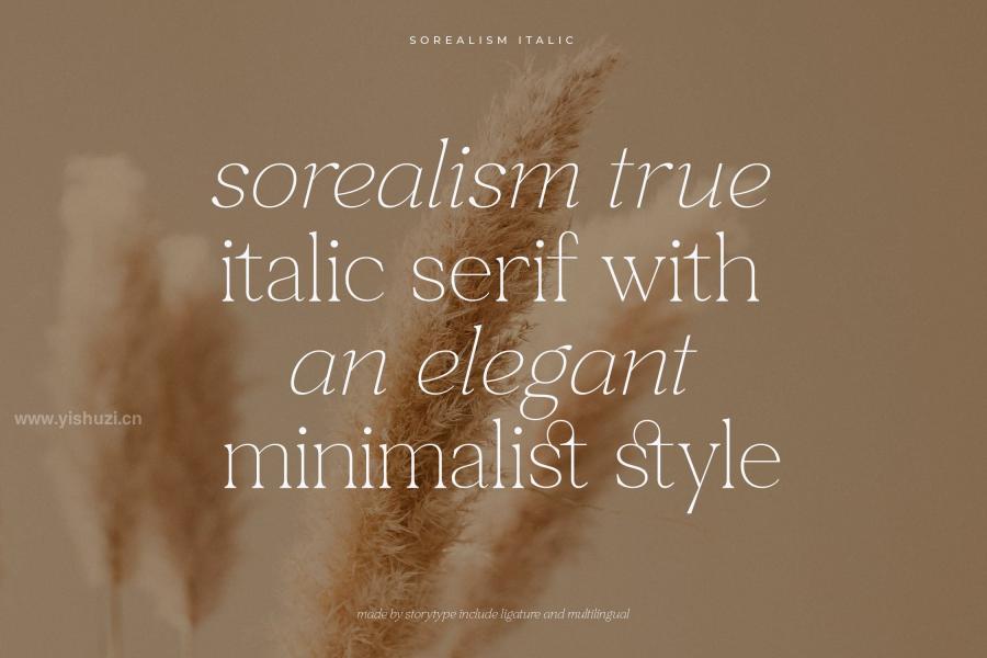 ysz-203596 Sorealism-True-Italic-Serif-Fontz5.jpg