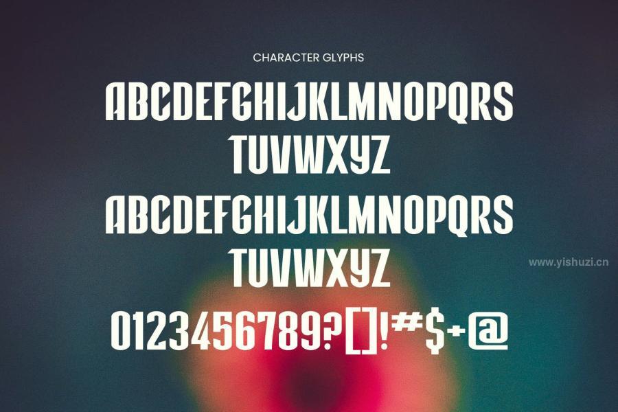 ysz-203701 Talks-Modern-Sans-Serif-Font-Typefacez7.jpg