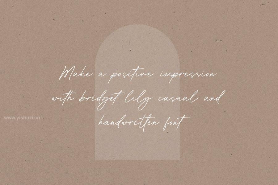 ysz-203732 Bridget-Lily-Business-Handwritten-Fontz9.jpg