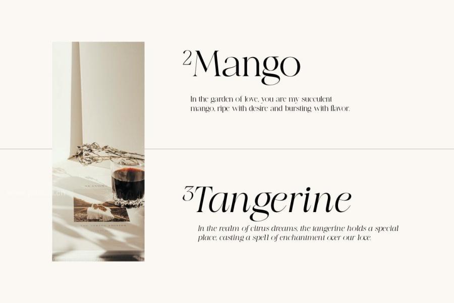 ysz-203767 Night-Mango---Elegant-Modern-Fontz3.jpg