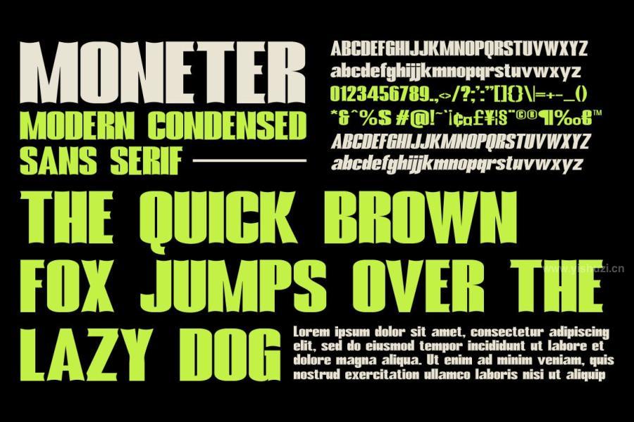 ysz-203894 Moneter---A-Modern-Condensed-Fontz4.jpg
