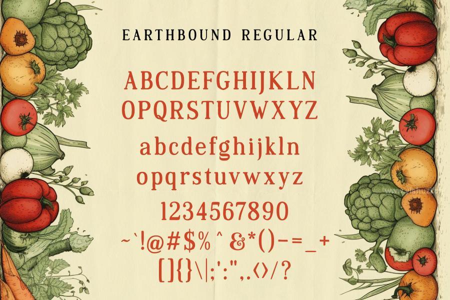 ysz-203801 Earthbound---Organic-Typefacez7.jpg