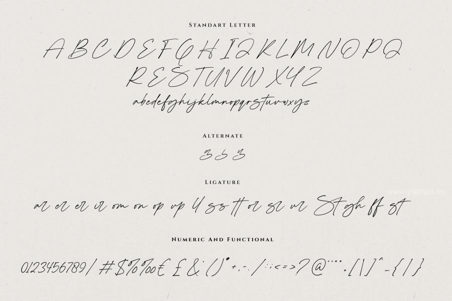 ysz-204342 Sergia-Casual-Handwritten-Fontz10.jpg