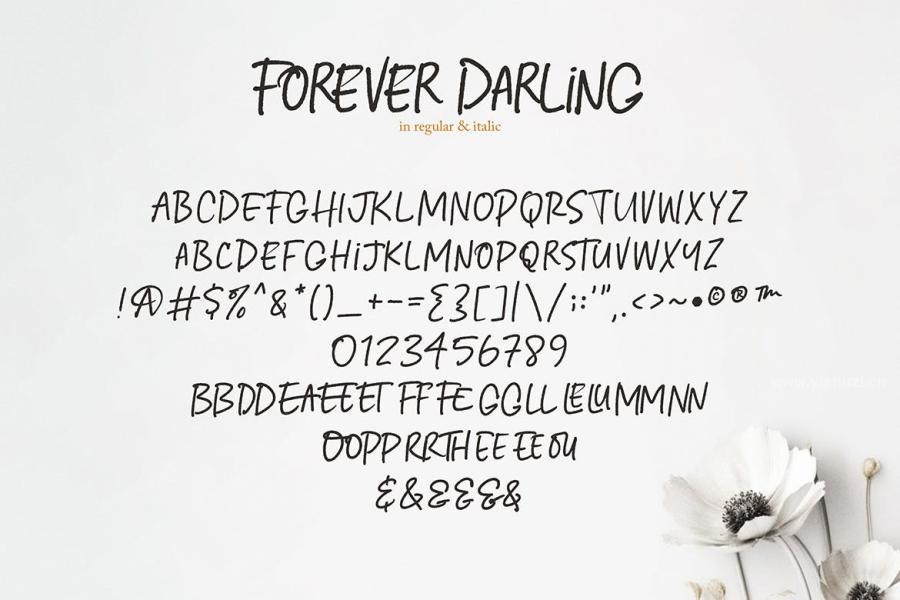 ysz-204365 Forever-Darling-Typefacez7.jpg
