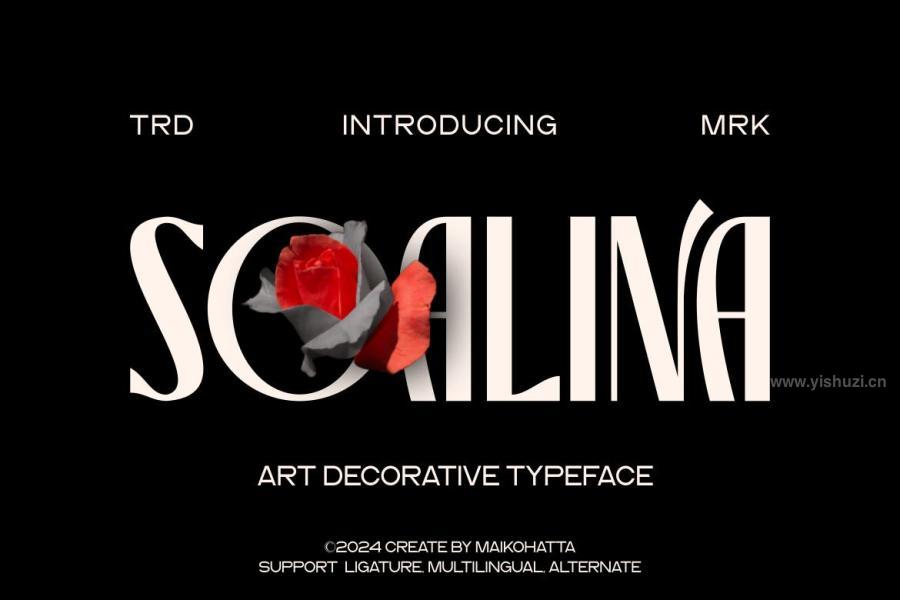 ysz-204370 Soalina---Art-Decorative-Typefacez2.jpg