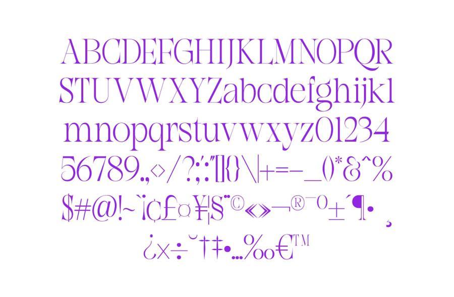 ysz-204424 Aguirre---Serif-Typefacez3.jpg
