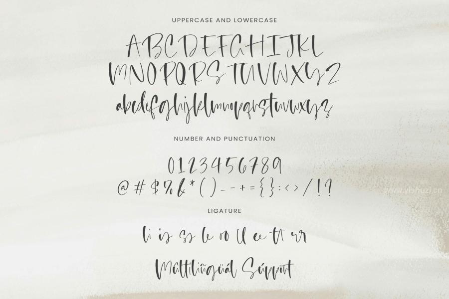 ysz-204455 Blessed-Primrose---Stylish-Handwritten-Font-TTz4.jpg