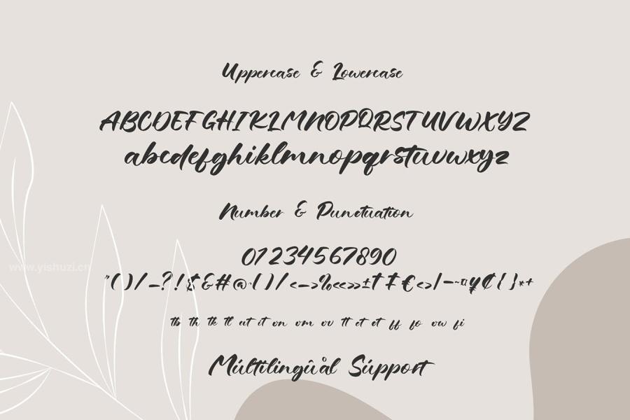 ysz-204456 Grandma-Salma---Hand-Lettered-Typefacez4.jpg