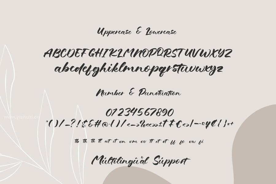 ysz-204456 Grandma-Salma---Hand-Lettered-Typefacez4.jpg