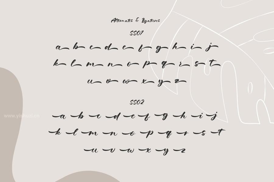 ysz-204456 Grandma-Salma---Hand-Lettered-Typefacez5.jpg