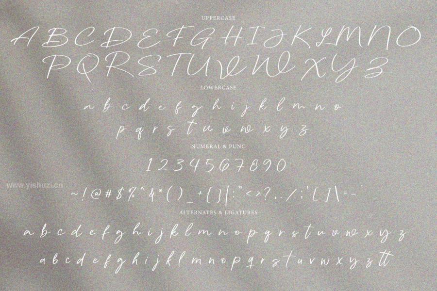 ysz-204457 Pagoda---Casual-Handwrittenz4.jpg