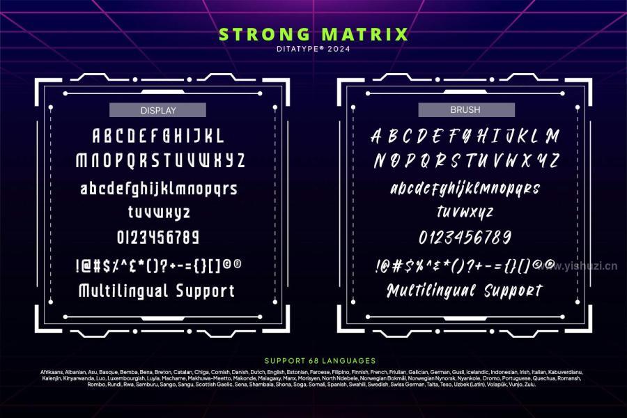 ysz-204393 Strong-Matrixz9.jpg